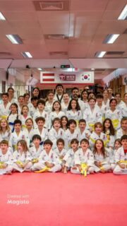 Wien Taekwondo Centre feiert erfolgreiche Gürtelprüfungen und starkes Jahr #taekwondo #FightLikeAGirl #WeTrainHarder CoachCesarValentim ASKÖWien ParaTaekwondo WorldTaekwondo ChungDoKwan wientkd asköwatwien WienTaekwondo TaekwondoWien WirSindTaekwondo vivobarefoot vivobarefootshoes schmelz wien neubau rudolfsheimfünfhaus haltdiepratze